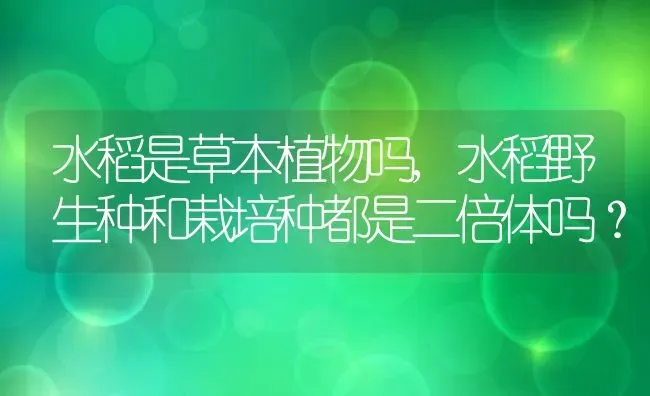 水稻是草本植物吗,水稻野生种和栽培种都是二倍体吗？ | 养殖学堂