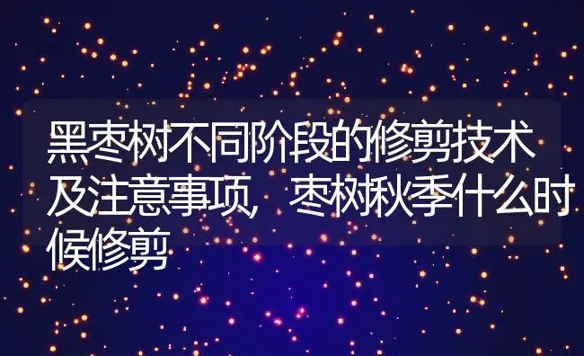 黑枣树不同阶段的修剪技术及注意事项,枣树秋季什么时候修剪 | 养殖学堂