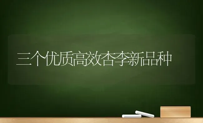 三个优质高效杏李新品种 | 养殖技术大全