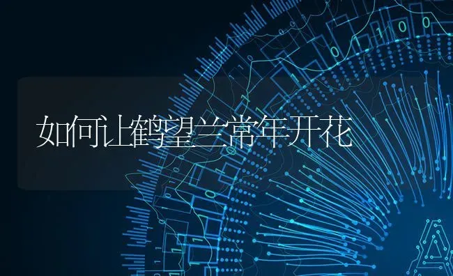 如何让鹤望兰常年开花 | 养殖知识