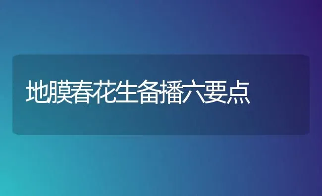 地膜春花生备播六要点 | 养殖知识