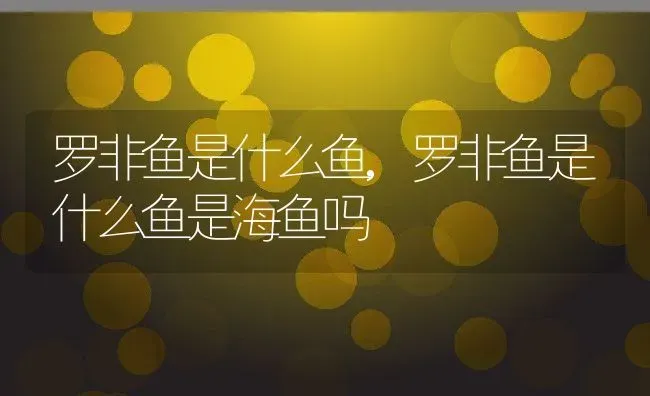 罗非鱼是什么鱼,罗非鱼是什么鱼是海鱼吗 | 养殖科普