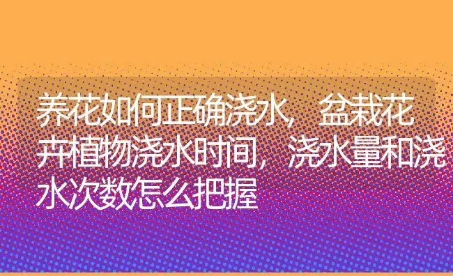 养花如何正确浇水,盆栽花卉植物浇水时间，浇水量和浇水次数怎么把握 | 养殖学堂