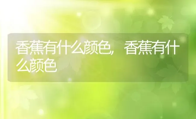 香蕉有什么颜色,香蕉有什么颜色 | 养殖科普