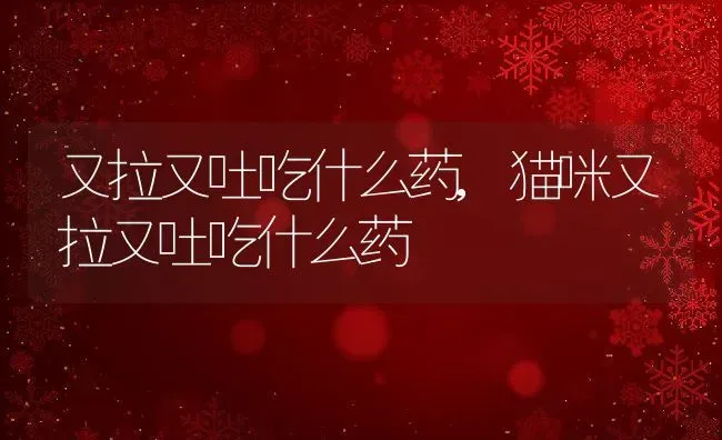 又拉又吐吃什么药,猫咪又拉又吐吃什么药 | 养殖资料