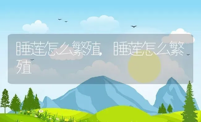 睡莲怎么繁殖,睡莲怎么繁殖 | 养殖科普