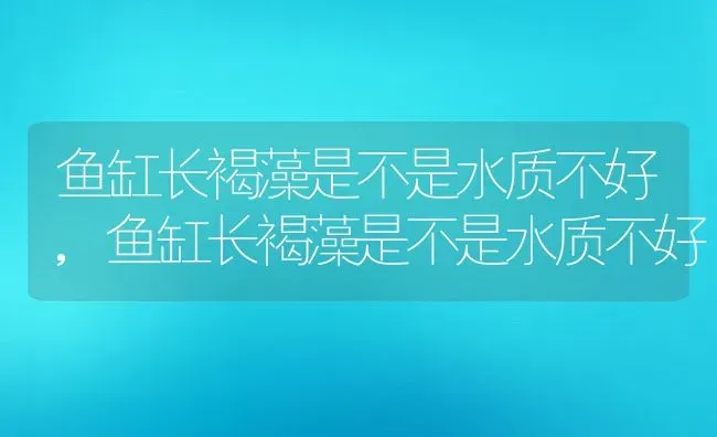 鱼缸长褐藻是不是水质不好,鱼缸长褐藻是不是水质不好 | 养殖科普