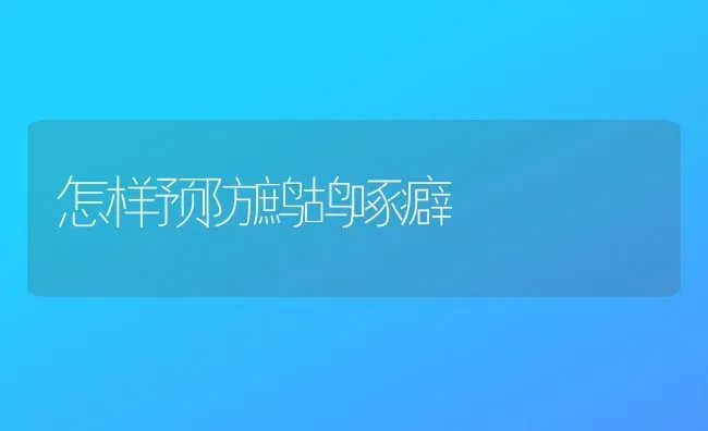 怎样预防鹧鸪啄癖 | 养殖知识