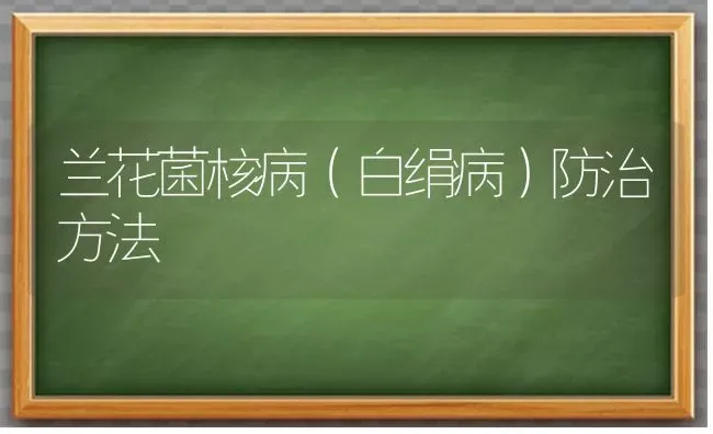 兰花菌核病(白绢病)防治方法 | 养殖知识
