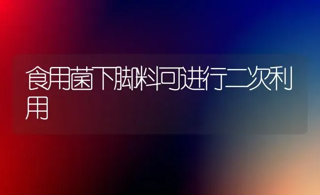 食用菌下脚料可进行二次利用 | 养殖技术大全
