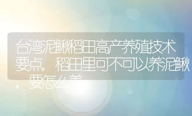 台湾泥鳅稻田高产养殖技术要点,稻田里可不可以养泥鳅，要怎么养 | 养殖学堂