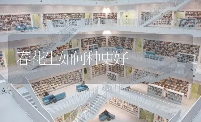 春花生如何种更好 | 养殖技术大全
