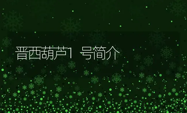 晋西葫芦1号简介 | 养殖技术大全
