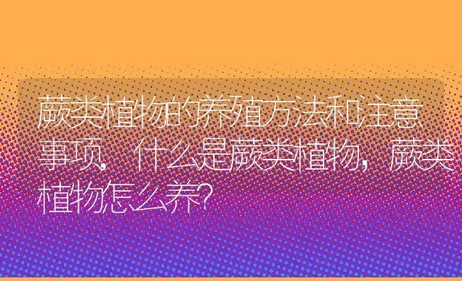 蕨类植物的养殖方法和注意事项,什么是蕨类植物，蕨类植物怎么养？ | 养殖科普