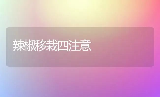 辣椒移栽四注意 | 养殖技术大全