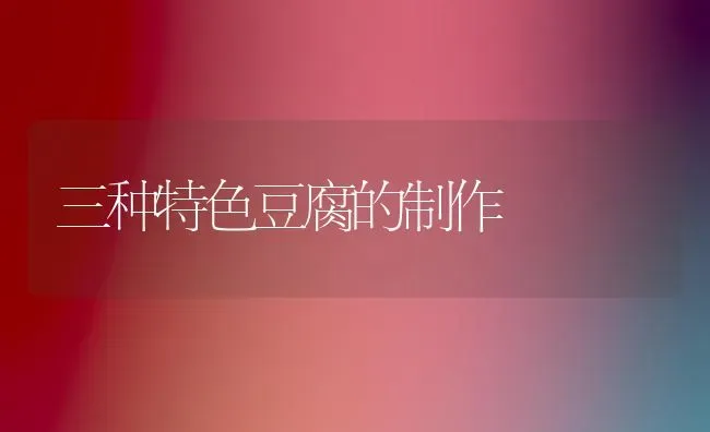三种特色豆腐的制作 | 养殖技术大全