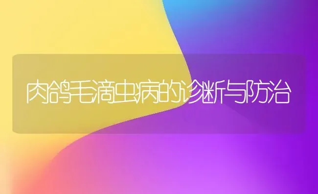 肉鸽毛滴虫病的诊断与防治 | 养殖技术大全