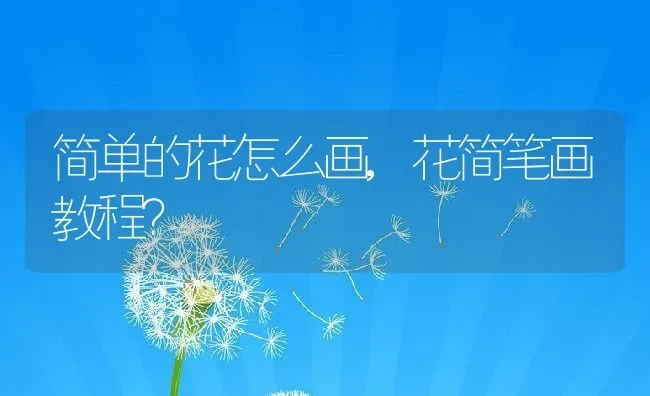 简单的花怎么画,花简笔画教程？ | 养殖学堂