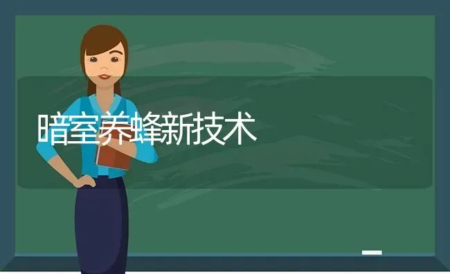 暗室养蜂新技术 | 养殖技术大全