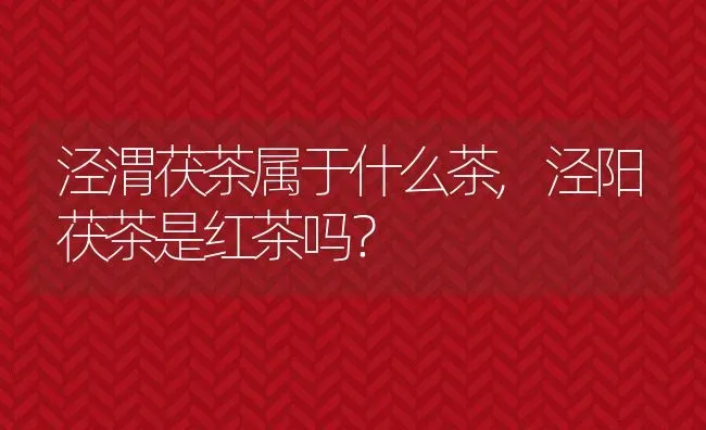 泾渭茯茶属于什么茶,泾阳茯茶是红茶吗？ | 养殖科普
