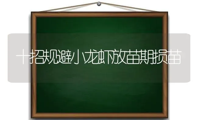 十招规避小龙虾放苗期损苗 | 养殖技术大全