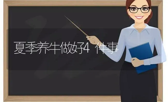 夏季养牛做好4件事 | 养殖技术大全