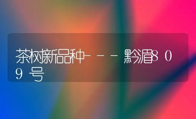 茶树新品种---黔湄809号 | 养殖技术大全