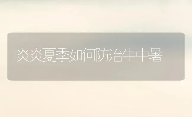 炎炎夏季如何防治牛中暑 | 养殖技术大全
