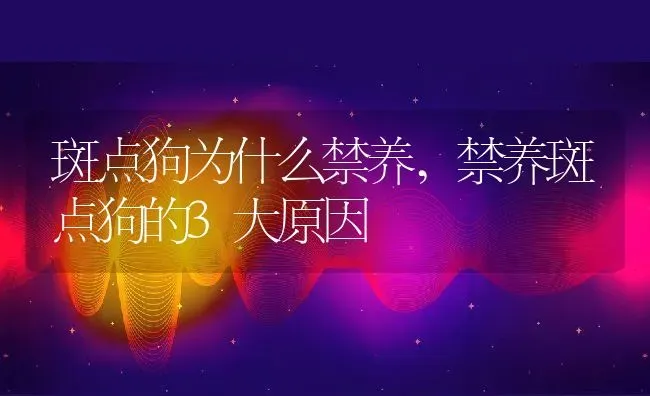 斑点狗为什么禁养,禁养斑点狗的3大原因 | 养殖科普