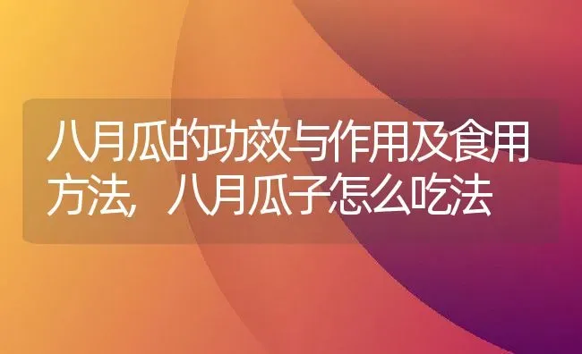 八月瓜的功效与作用及食用方法,八月瓜子怎么吃法 | 养殖学堂