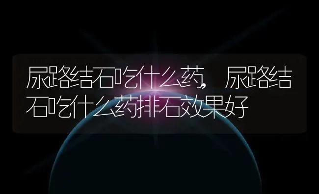 尿路结石吃什么药,尿路结石吃什么药排石效果好 | 养殖资料