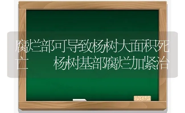 腐烂部可导致杨树大面积死亡  杨树基部腐烂加紧治 | 养殖技术大全