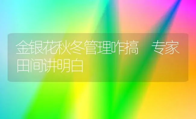 大蒜辐照保鲜技术 | 养殖技术大全