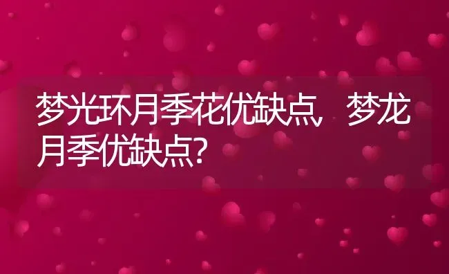 梦光环月季花优缺点,梦龙月季优缺点？ | 养殖科普