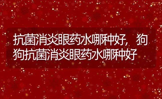 抗菌消炎眼药水哪种好,狗狗抗菌消炎眼药水哪种好 | 养殖科普