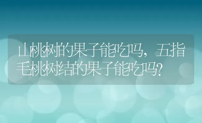 山桃树的果子能吃吗,五指毛桃树结的果子能吃吗？ | 养殖科普