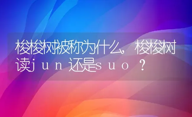 梭梭树被称为什么,梭梭树读jun还是suo？ | 养殖科普