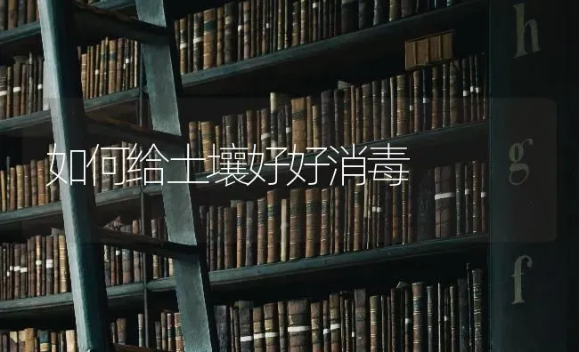 如何给土壤好好消毒 | 养殖技术大全