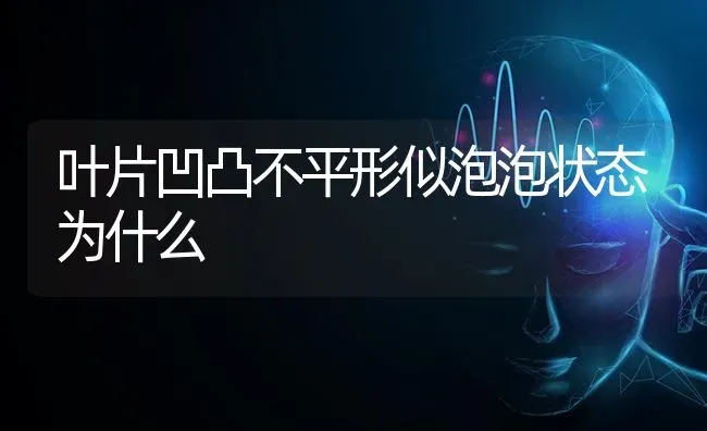 叶片凹凸不平形似泡泡状态为什么 | 养殖技术大全