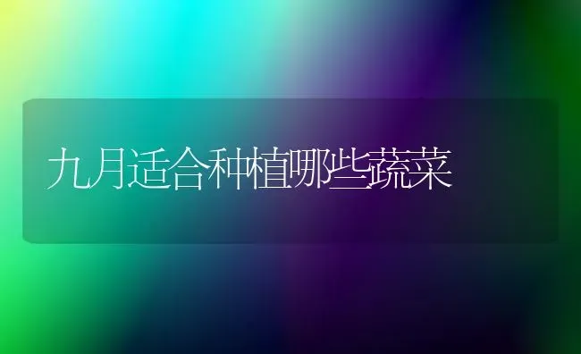 农作物叶面肥的特点 | 养殖技术大全