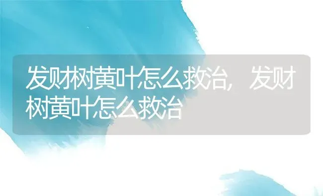 发财树黄叶怎么救治,发财树黄叶怎么救治 | 养殖科普