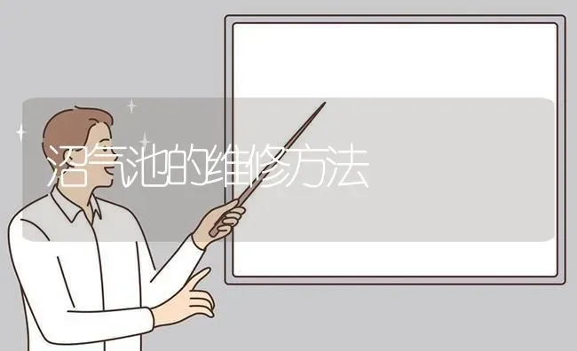沼气池的维修方法 | 养殖技术大全