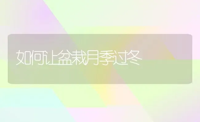 如何让盆栽月季过冬 | 养殖知识