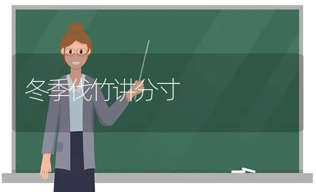 冬季伐竹讲分寸 | 养殖技术大全