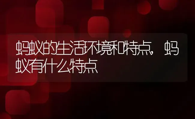 蚂蚁的生活环境和特点,蚂蚁有什么特点 | 养殖学堂