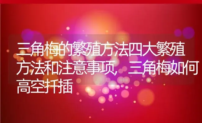 三角梅的繁殖方法四大繁殖方法和注意事项,三角梅如何高空扦插 | 养殖学堂