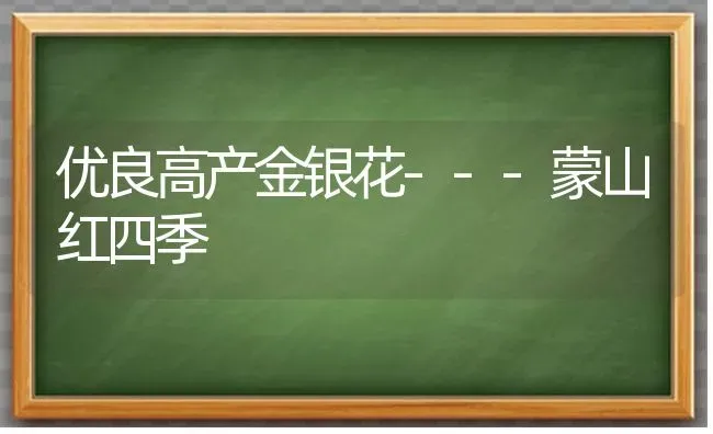 优良高产金银花---蒙山红四季 | 养殖技术大全