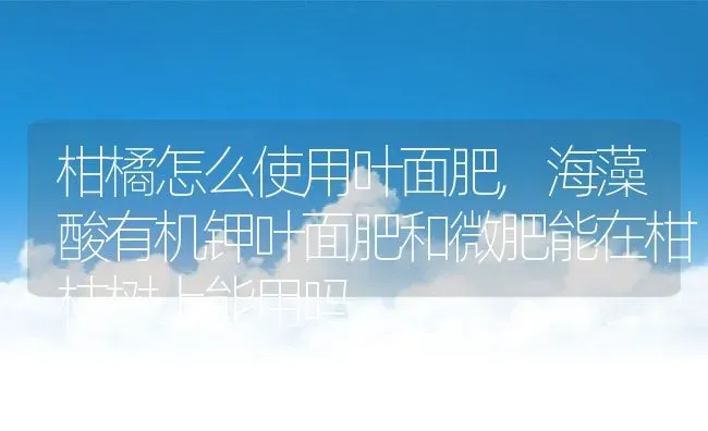 柑橘怎么使用叶面肥,海藻酸有机钾叶面肥和微肥能在柑桔树上能用吗 | 养殖学堂