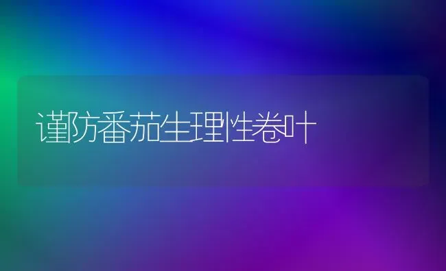 谨防番茄生理性卷叶 | 养殖技术大全