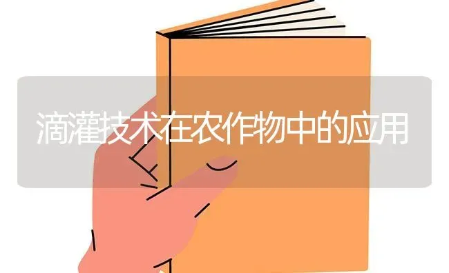 滴灌技术在农作物中的应用 | 养殖知识